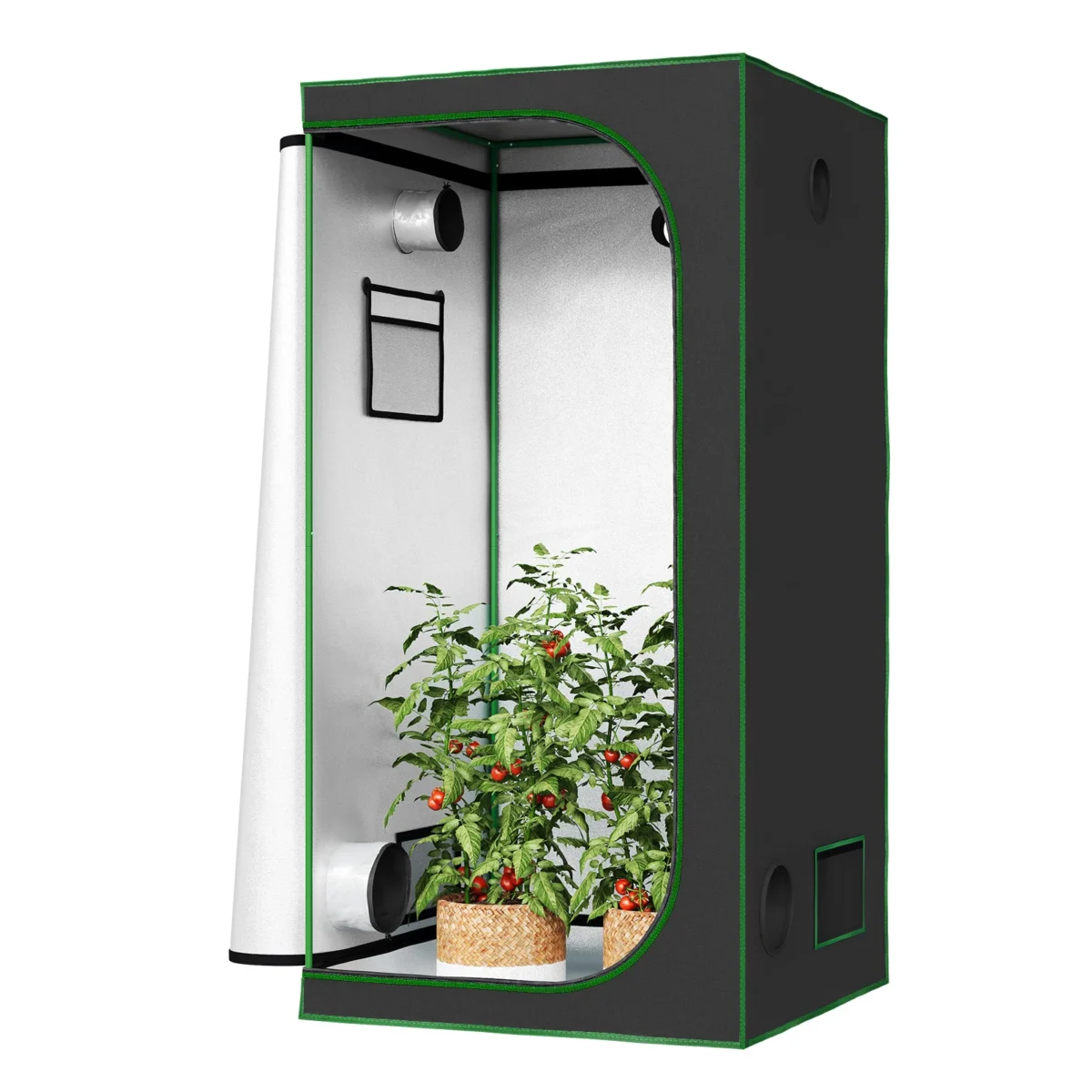 WOLTU Foil Greenhouse Garden Shed with Observation Windows for Growing Tomato Plants Reflective Greenhouse for Indoor Balcony - Imagine 2